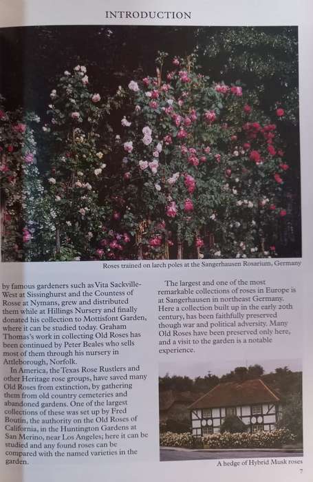 Old Roses - and How To Grow Them - Roger Phillips & Martyn Rix - Softcover - 95 Pages