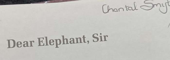 Dear Elephant Sir - Clive Walker - Hardcover - 150 pages