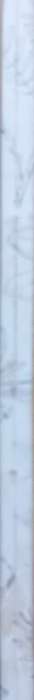 Suid-Kaapse Boomgids - F. von Breitenbach - Softcover - 114 pages