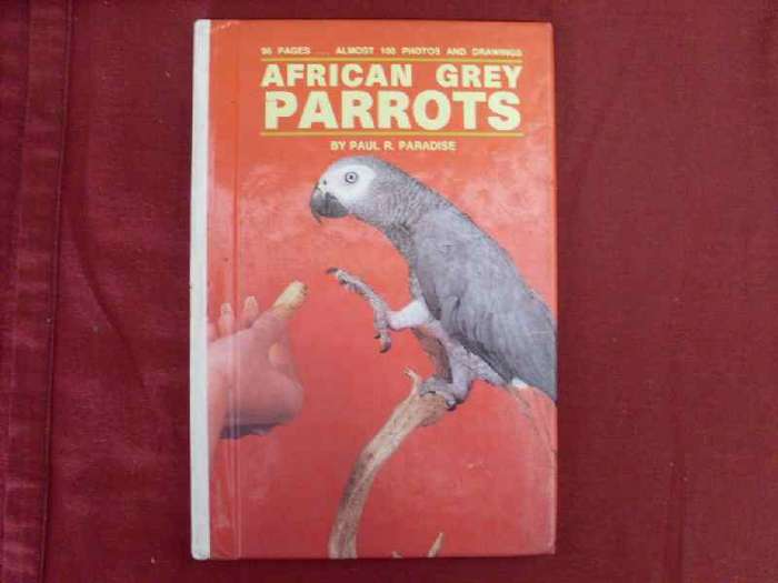 African Grey Parrots by Paul R. Paradise