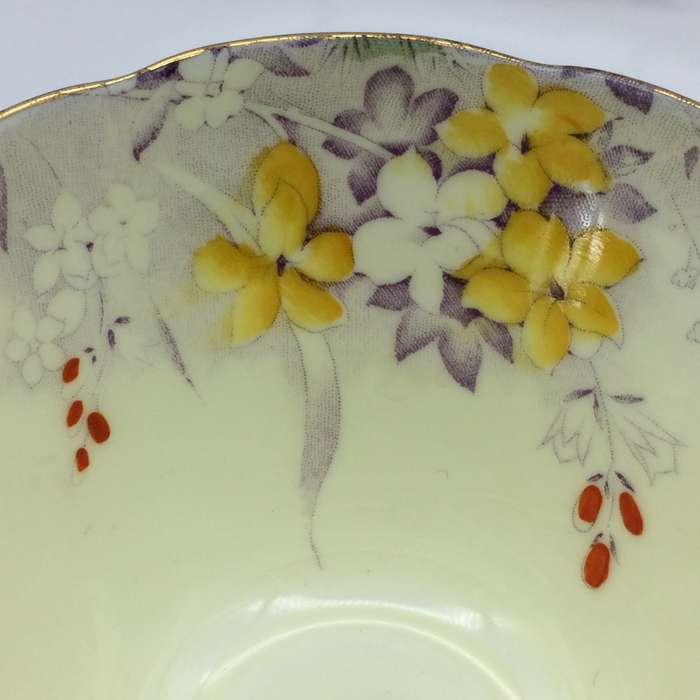 Early Paragon China Trio (Woodland Bluebell)