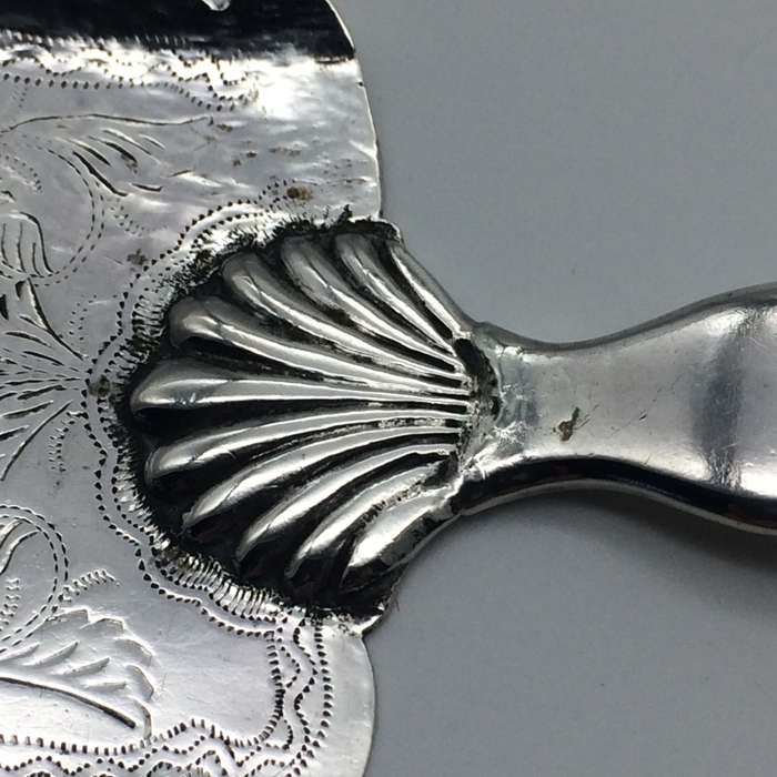 Antique Silver Bone Handled Cake Server (Possibly Cape Silver)