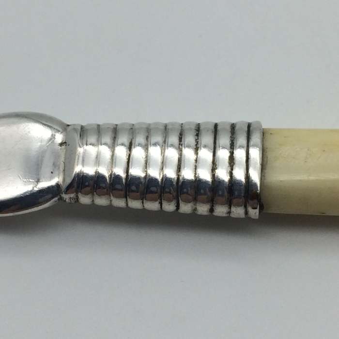 Antique Silver Bone Handled Cake Server (Possibly Cape Silver)