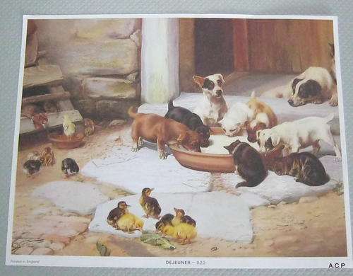 DEJEUNER  PRINT
