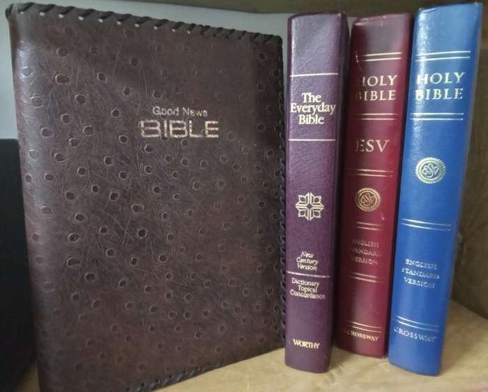 Bibles (various) R250 each