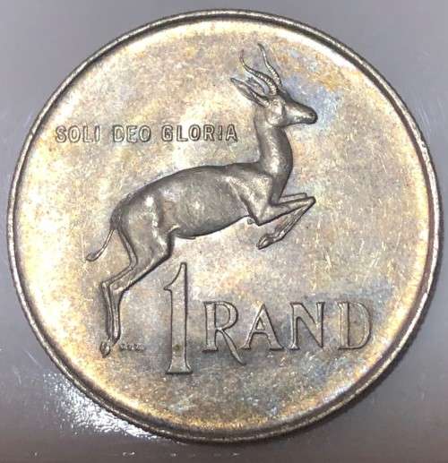 1966 Silver R1 - Tagged Ear