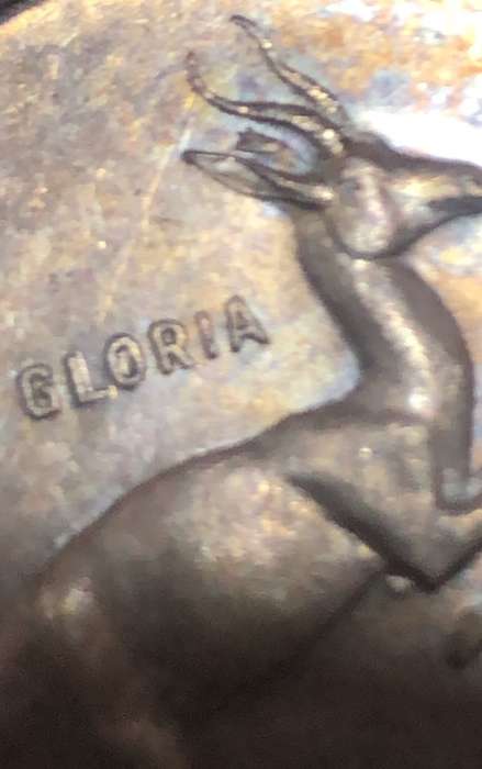 1966 Silver R1 - Tagged Ear