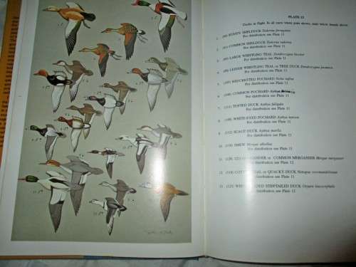 A Pictorial Guide to the Birds of the Indian Subcontinent