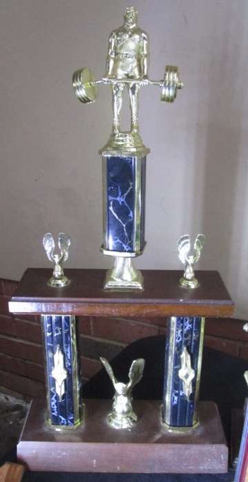 Body Building Trophies x 12 plus...