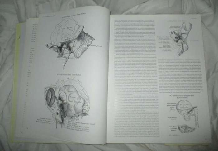 Grays Anatomy . A Facsimile