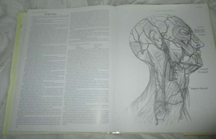 Grays Anatomy . A Facsimile