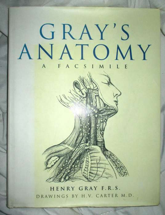 Grays Anatomy . A Facsimile