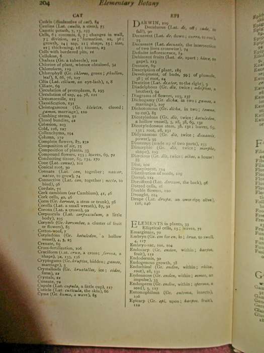 Elementary Botany for South Africa 1910