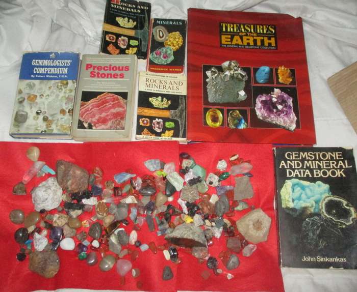 Rock collection and books