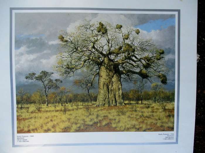 South African Artist prints x 7