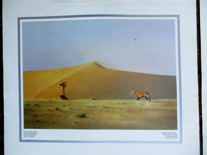 South African Artist prints x 7
