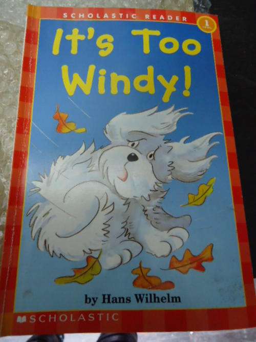 Its too Windy! - Hans Wilhelm