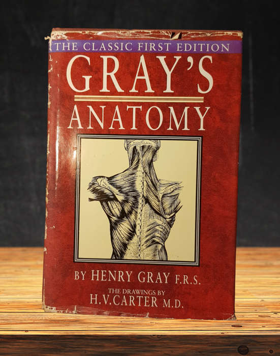 Gray's Anatomy (The Classic First Edition) Hardcover