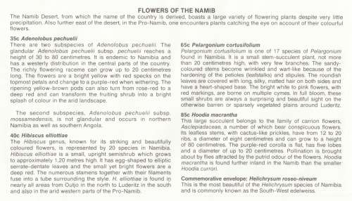NAM 1994-04-08 Flowers of the Namib FDC 2.5 (32 000) [SACC R10]