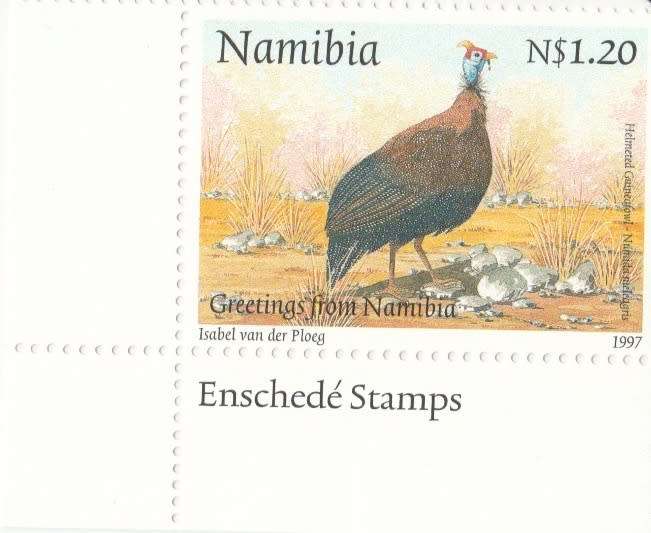 NAM 1997-05-06 Helmeted Guineafowl [SACC 173 - R7]