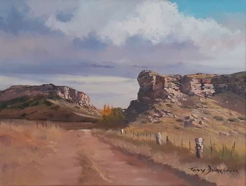 TONY DURRHEIM - Sandstone Cliffs