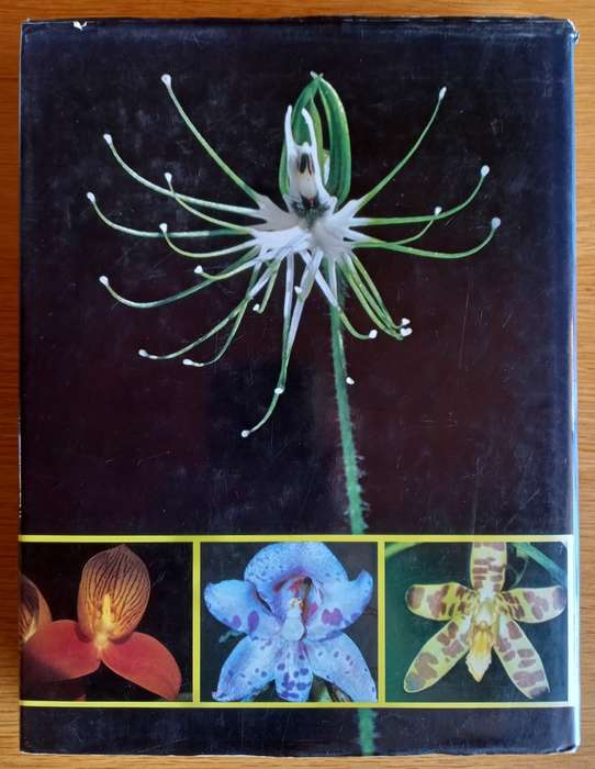 Wild Orchids of Southern Africa by Joyce Stewart, H.P. Linder et al