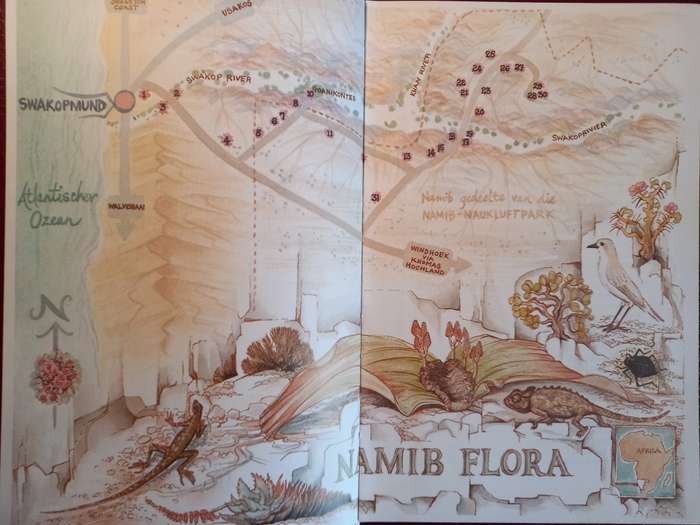 Namib Flora - Swakopmund to the Giant Welwitschia via Goanikontes by Patricia Craven and Christine M