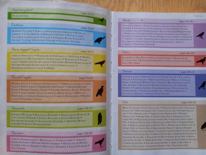 SASOL Birds of Prey of Africa and its Islands by Alan & Meg Kemp