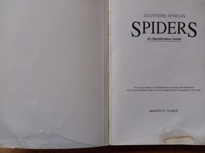 Southern African Spiders - An Identification Guide