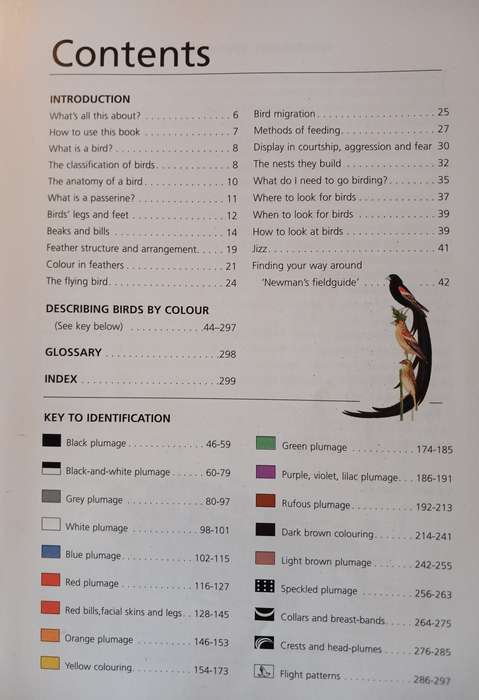 Newman's Birds by Colour by Kenneth Newman