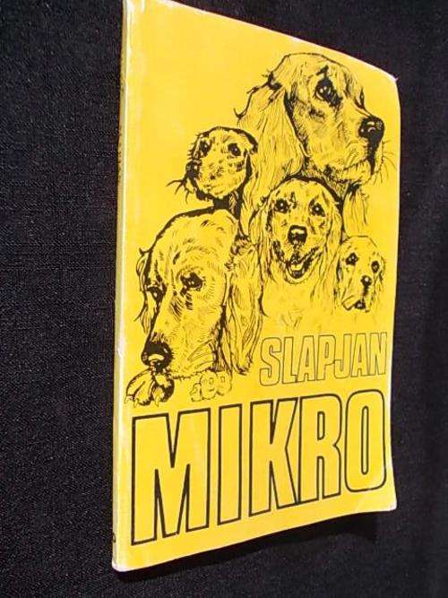SLAPJAN deur MIKRO