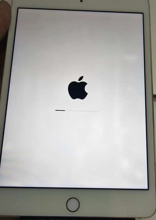 iPad Mini 4 128GB WiFi only mk9q2hc/a