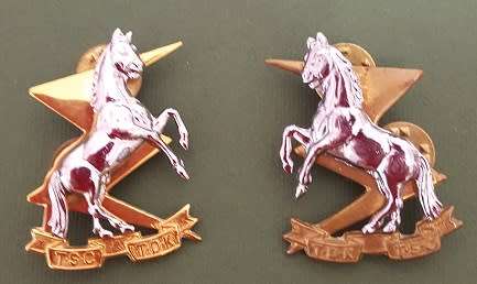 SADF - Technical Services Corps Collar Badges - Pair (one pin replaced on one badge)