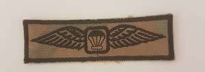 Parabat Instructotors Wing Breast Badge