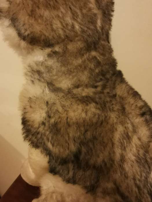Large Husky Soft Toy 47cm tall