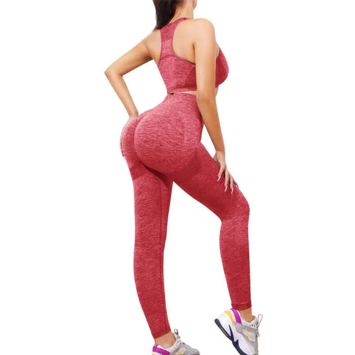 Women`s Workout Clothing Gym Yoga Set Fitness Sportswear