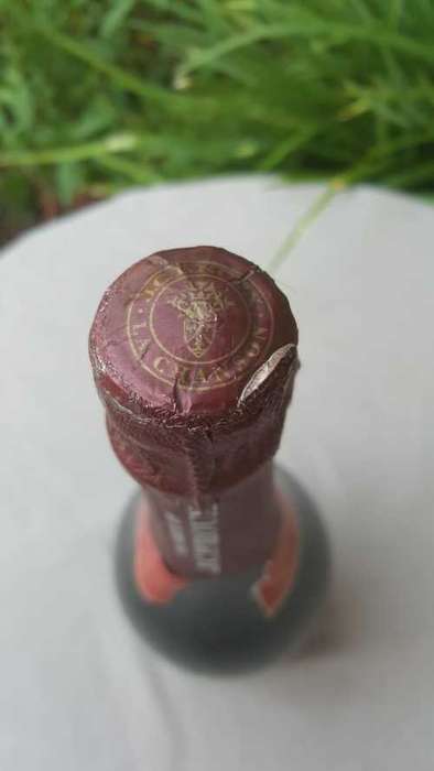 A RARE OPPORTUNITY: TWO BOTTLES OF CHAMPAGNE