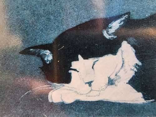VINTAGE 1980S SLEEPING TOM BY JULIAN WILLIAMS LIMITED EDITION PRINT NO 52 OF 100
