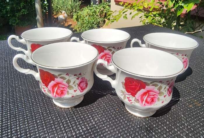 Exquisite Queen Anne 1960s Red and Pink Roses Pattern 16 Piece Teaset
