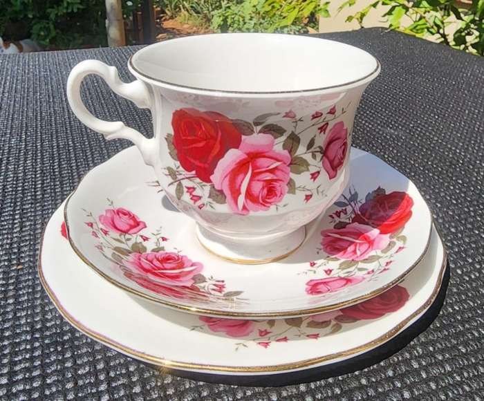 Exquisite Queen Anne 1960s Red and Pink Roses Pattern 16 Piece Teaset