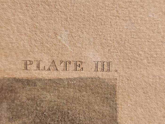 Plate III First Steeple-Chase On Record 1839 Very Rare Original Coloured Aquatint Henry Alken