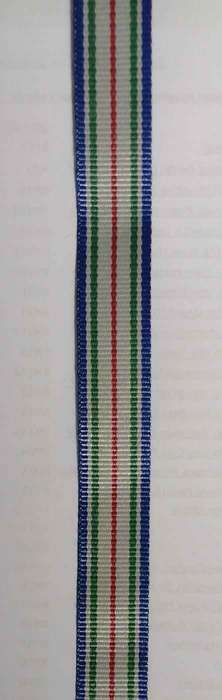 SAPS Silver Medal For Outstanding Service Ribbon