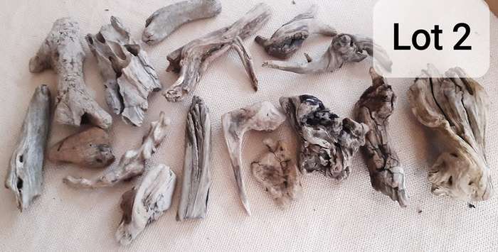 Driftwood Lot 2