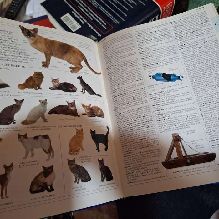 Dk Illustrated Oxford Dictionary