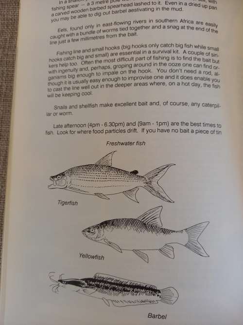 Earthlink Survival Guide to the Outdoors - James Clarke