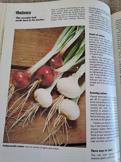 Vegetable Gardening Illustrated