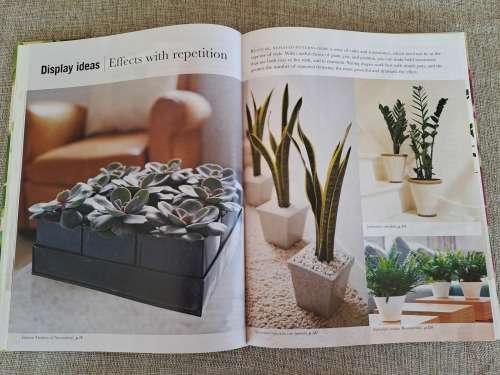 House Plants Indoor plants anyone can grow - Paul Williams