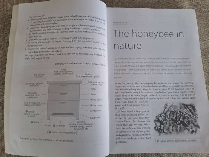 Beekeeping A Practical Guide for Southern Africa