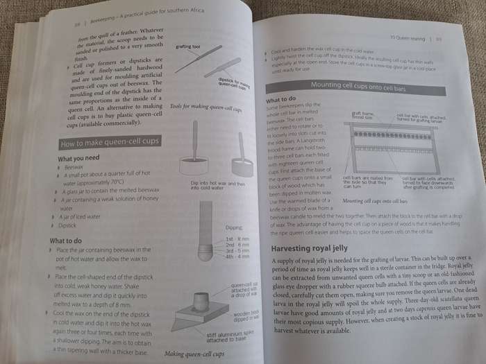 Beekeeping A Practical Guide for Southern Africa