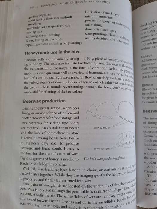 Beekeeping A Practical Guide for Southern Africa